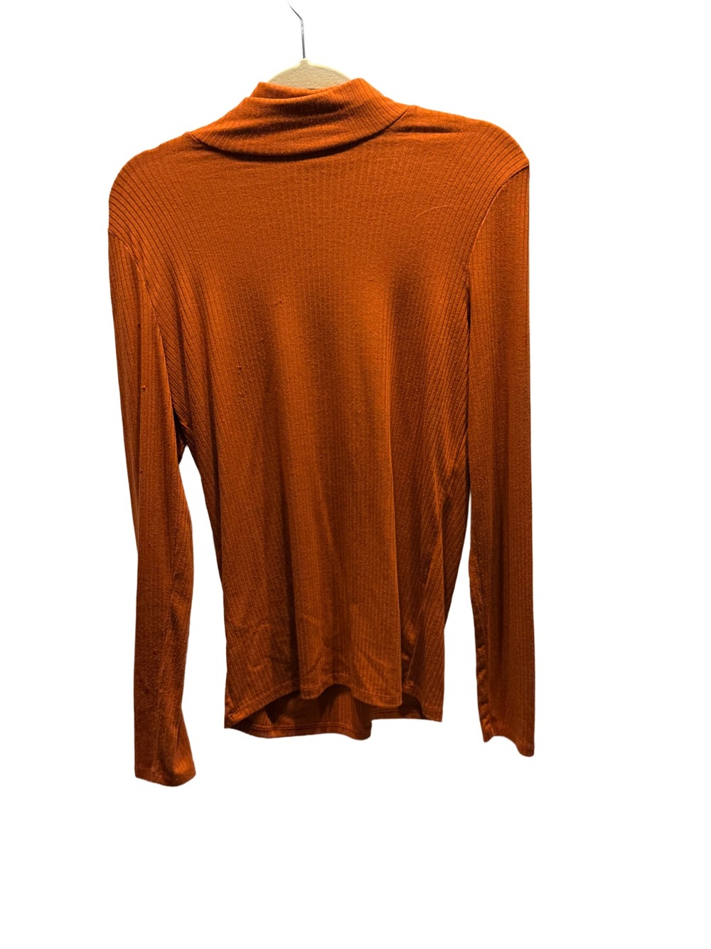 Madewell Burnt Orange Ribbed Long Sleeve Turtleneck Top L